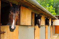 free Minllyn stable construction quotes